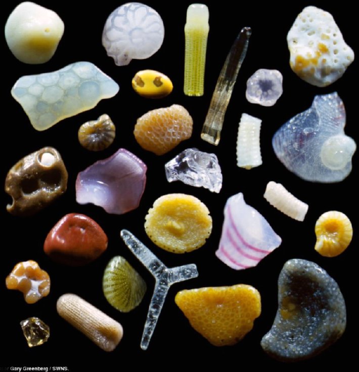 Sand Magnified Insteading